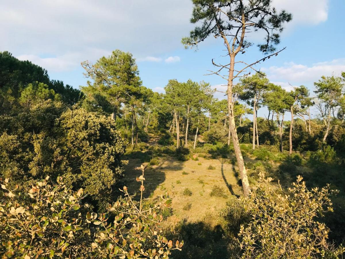 Standing et océan à 50m, appartement de l'oasis Saint-Jean-de-Monts Exteriör bild